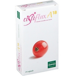 CistiFlux Compresse 7g