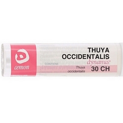 Thuya Occidentalis 30CH Granules CeMON